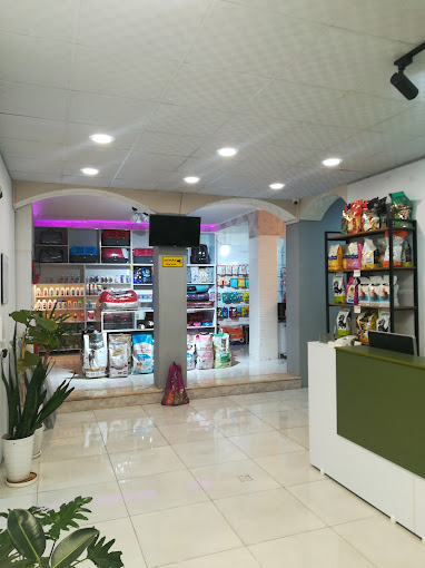 بهترین پت شاپ شیراز پت شاپ آنلاین شیراز