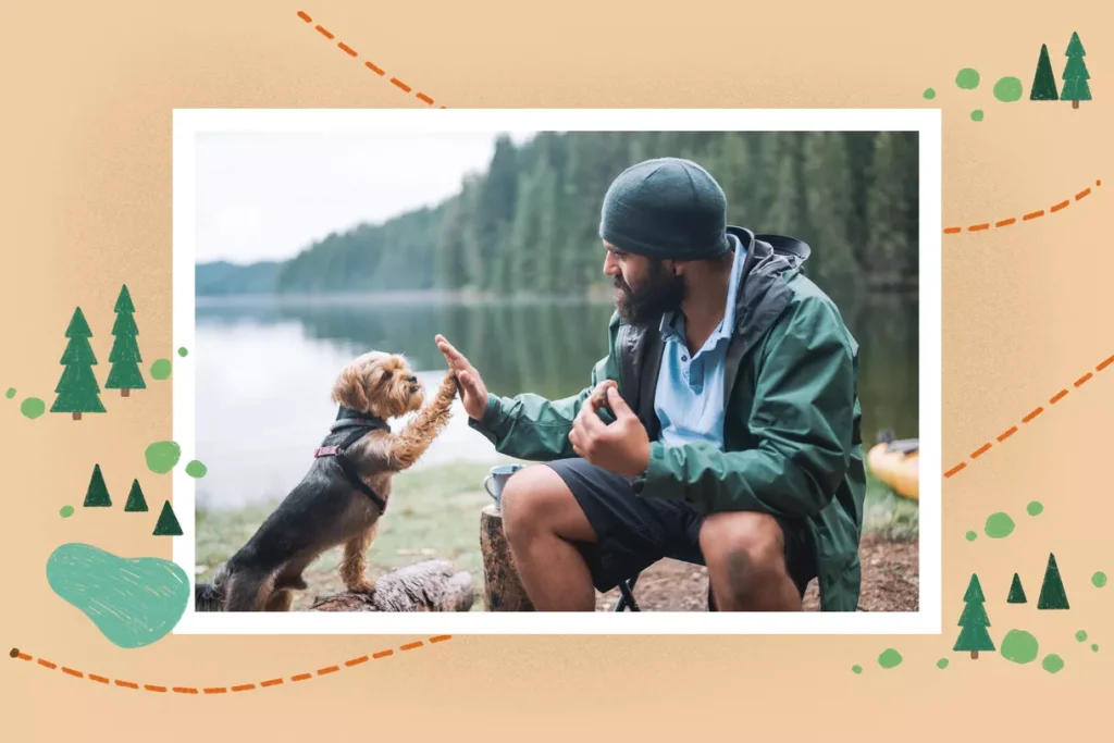 از آموزش مبتنی بر پاداش استفاده کنید