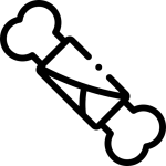 جراحی ارتوپدی حیوانات شیراز