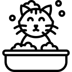 حمام گربه شیراز