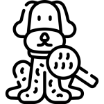 بررسی پوست حیوانات شیراز