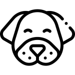 تخلیه کیسه مقعدی شیراز