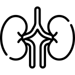 بیماری ادراری تناسلی