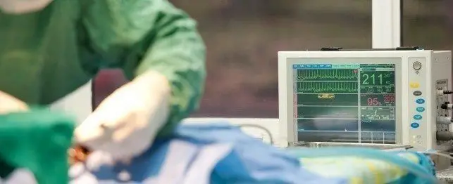 رفتارهای حیوانات پس از عقیم‌سازی و جراهی های حیوانات خانگی