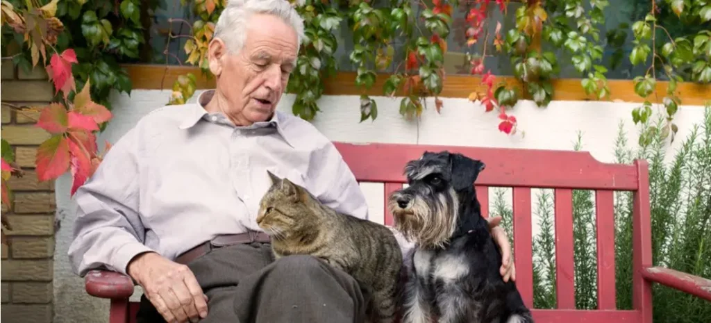 آموزش نگهداری از حیوانات خانگی برای مبتدیان | درمانگاه دامپزشکی فراز شیراز