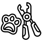 اصلاح ناخن حیوانات شیراز