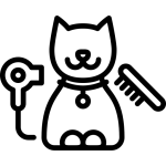 اصلاح گربه شیراز