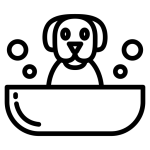 حمام سگ شیراز