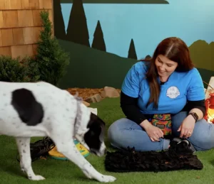 پدهای بویابی در درمانگاه فراز شیراز