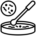 کشت قارچ در حیوانات
